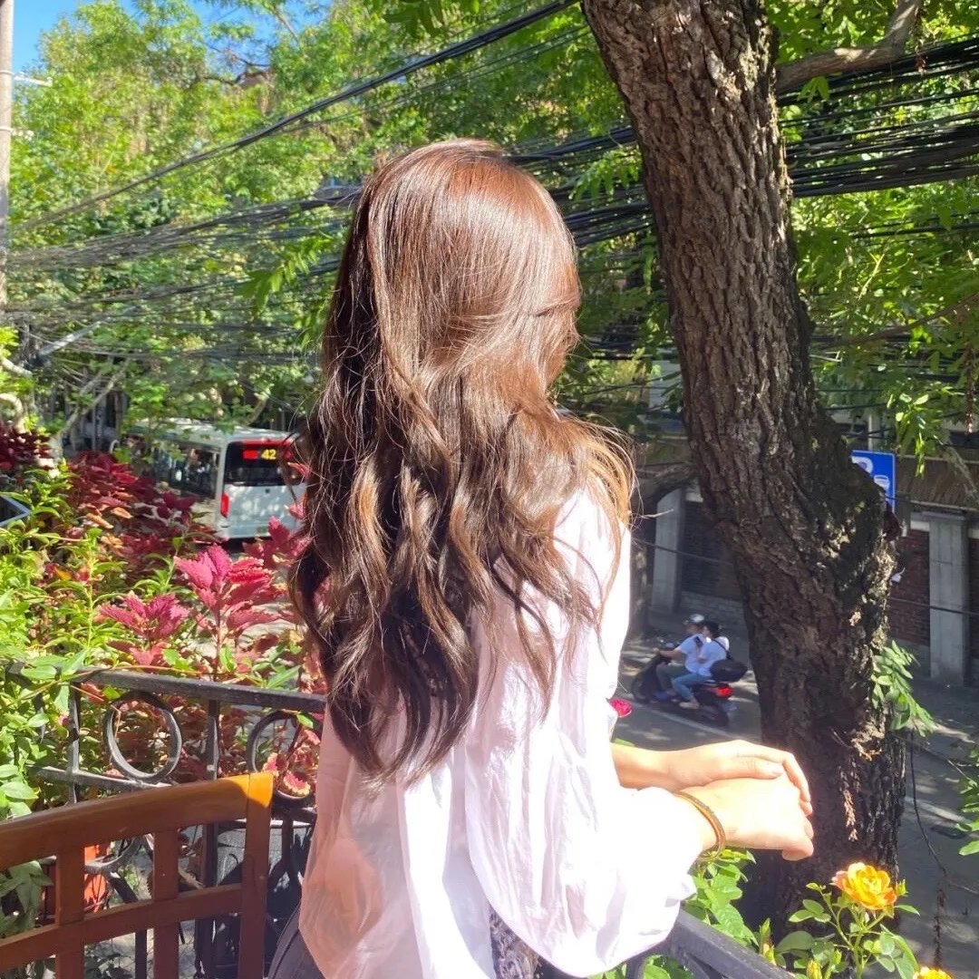 蜜熊的音乐奇旅